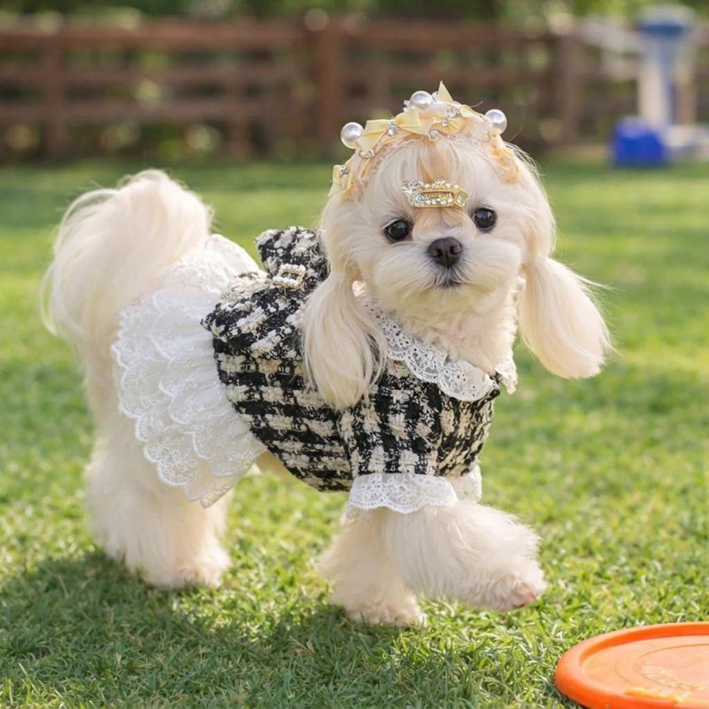 Black and White Tweed Lace Pet Dress with Pearl Detail