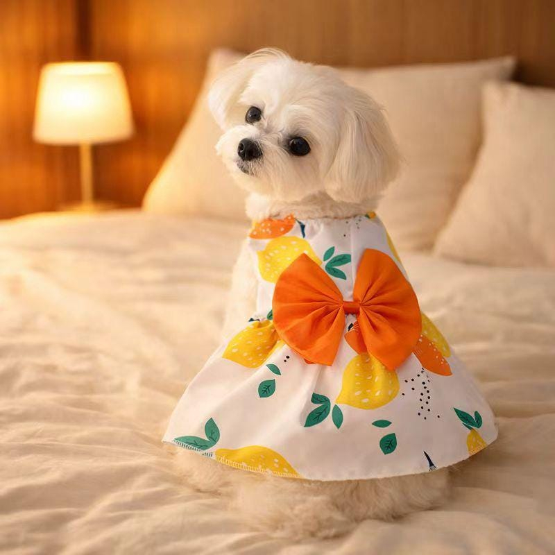Orange Flower Pet Dress for Small Dogs